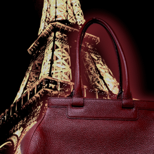 MOYNAT PARIS "PAULINE" BAG