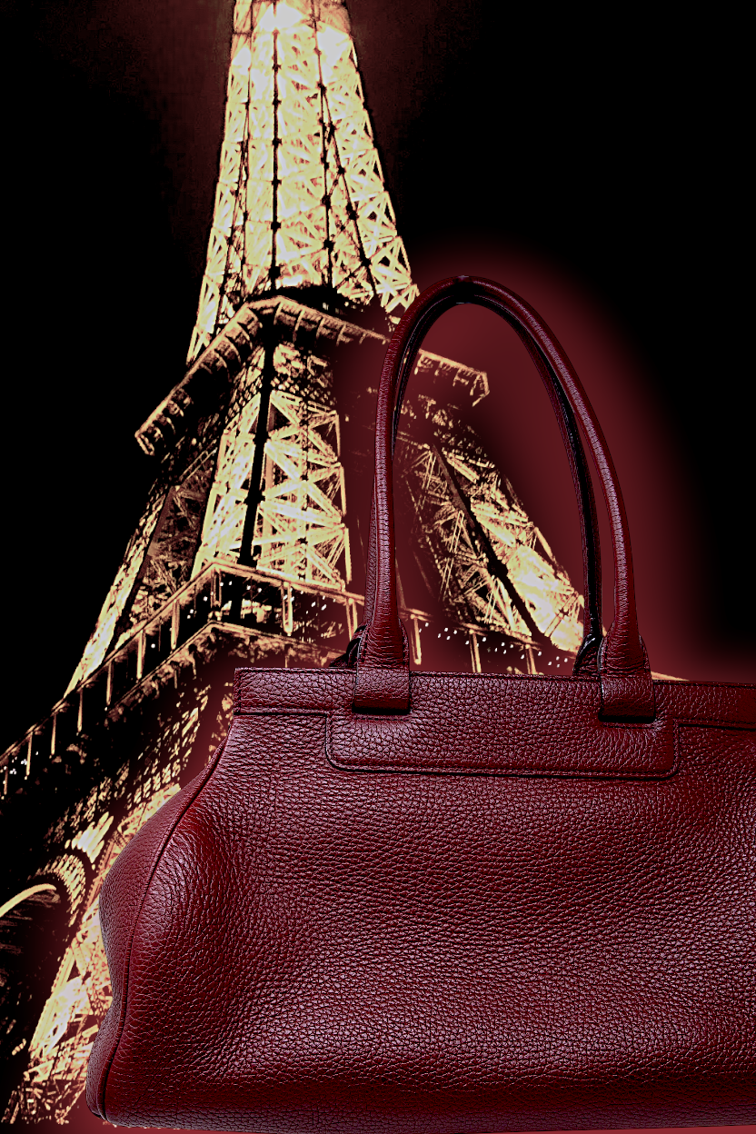 MOYNAT PARIS "PAULINE" BAG